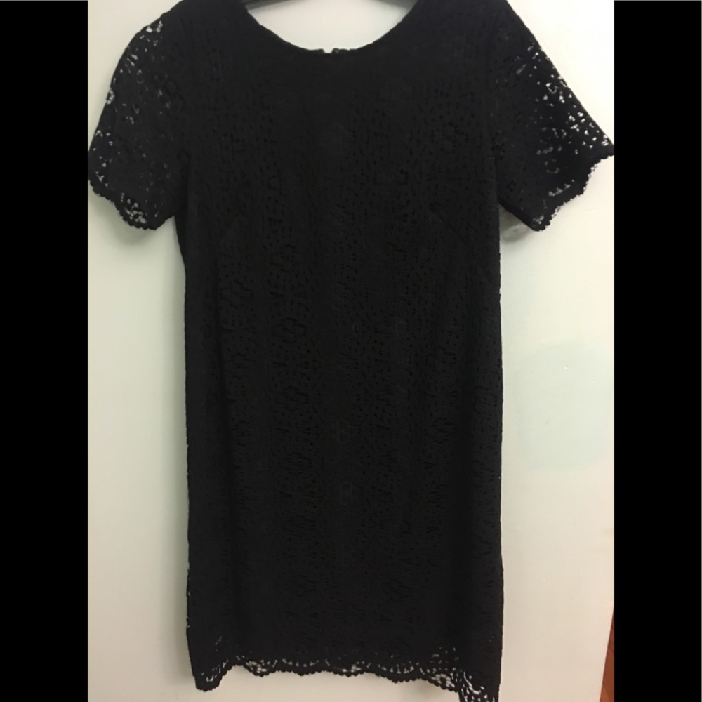 Ann Taylor Lace little black dress